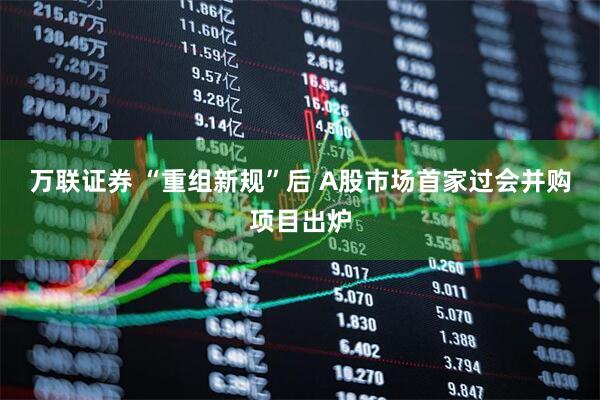 万联证券 “重组新规”后 A股市场首家过会并购项目出炉