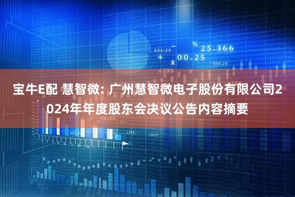 宝牛E配 慧智微: 广州慧智微电子股份有限公司2024年年度股东会决议公告内容摘要