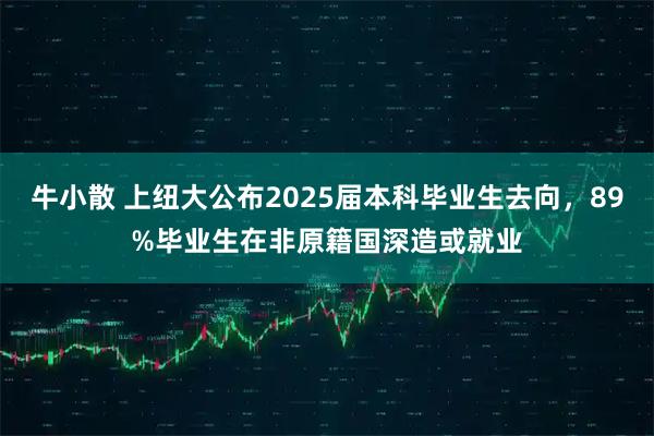 牛小散 上纽大公布2025届本科毕业生去向，89%毕业生在非原籍国深造或就业
