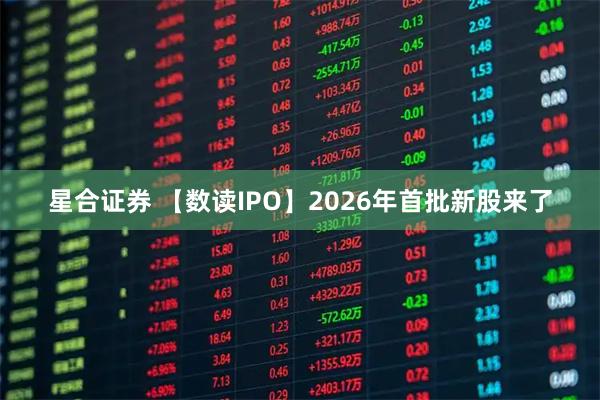 星合证券 【数读IPO】2026年首批新股来了
